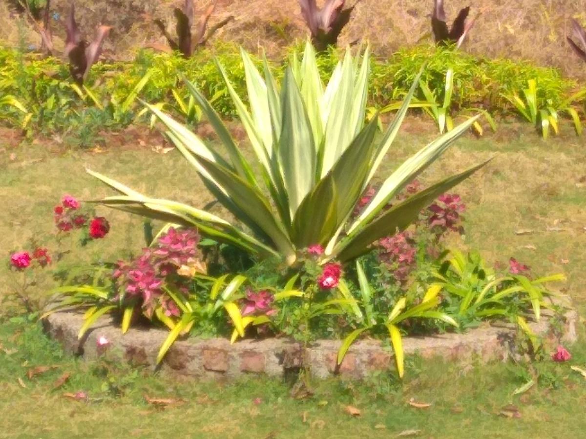 Sadgurukrupa Villa Mahableshwar Mahābaleshwar Exteriör bild